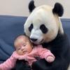 萨瓦赫尔VS普斯SC_萨瓦赫尔VS普斯SC高清免费_埃及甲高清直播