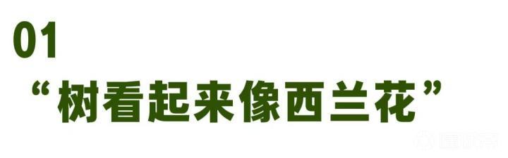 斯青威尔VS基马诺克U21_斯青威尔VS基马诺克U21录像回放_苏挑杯实时赛况